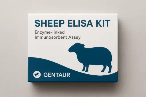 Sheep 5METHF ELISA Kit