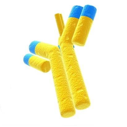 [639-abx051970] Somatostatin ELISA kit
