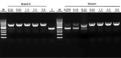 [14540ES72] TelN Protelomerase (5 U/μL) - 250 U