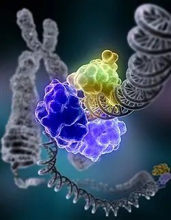 [10301ES40] Quick T4 DNA Ligase (400 U/μL) - 40 KU