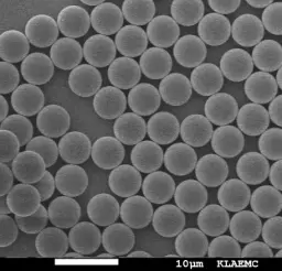 [ABM-80000-PA] Protein A Magnetic Particles, 80 um